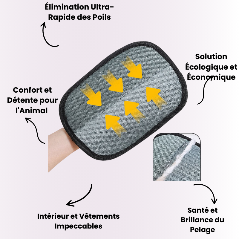 Équipement de toilettage pour animaux de compagnie - NIYOLUX™